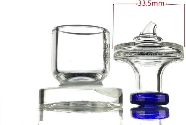 Clear Large Directional Snorkel Carb Cap | Carb Stand | Free Shipping